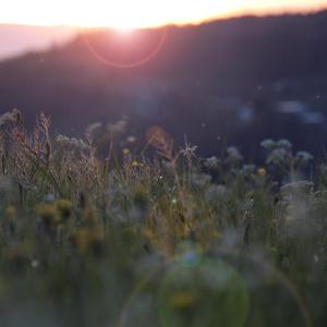 Miriam镜箱内部视频
